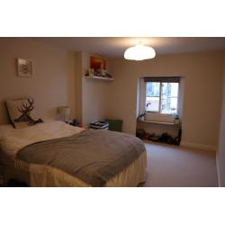 Large double room in a fantastic flat in the heart of Clifton Village.