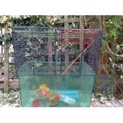 Gerbil cage