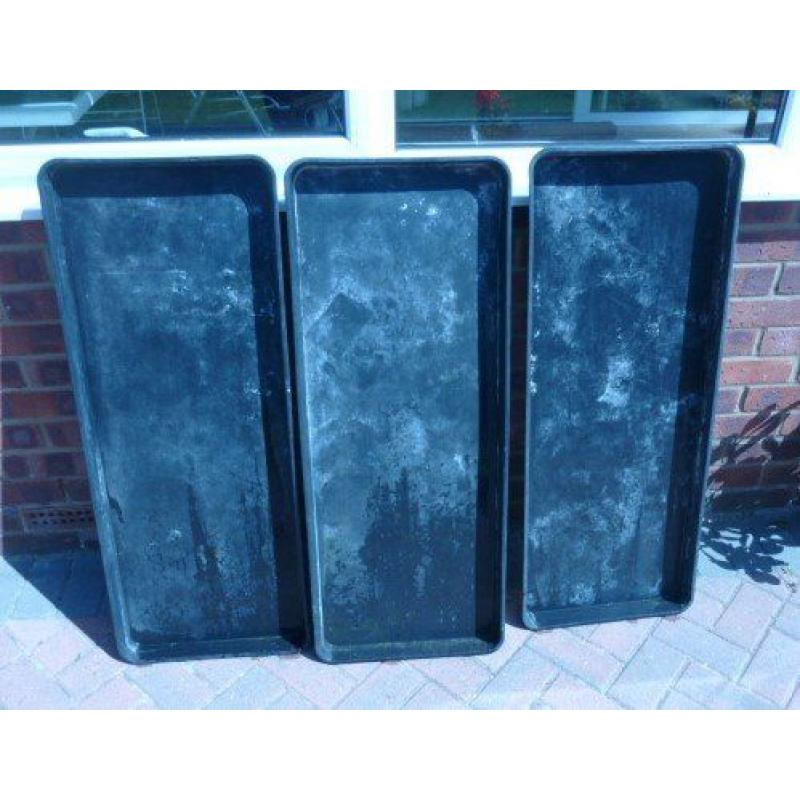 3 large gardening, greenhouse, growing, seed or grow bag trays