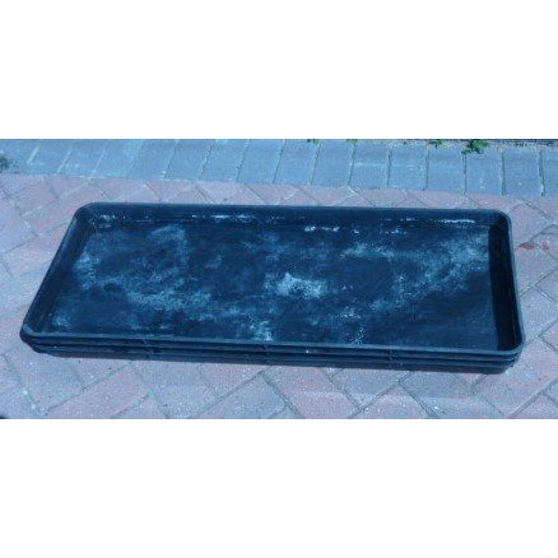 3 large gardening, greenhouse, growing, seed or grow bag trays