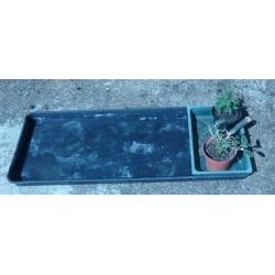 3 large gardening, greenhouse, growing, seed or grow bag trays