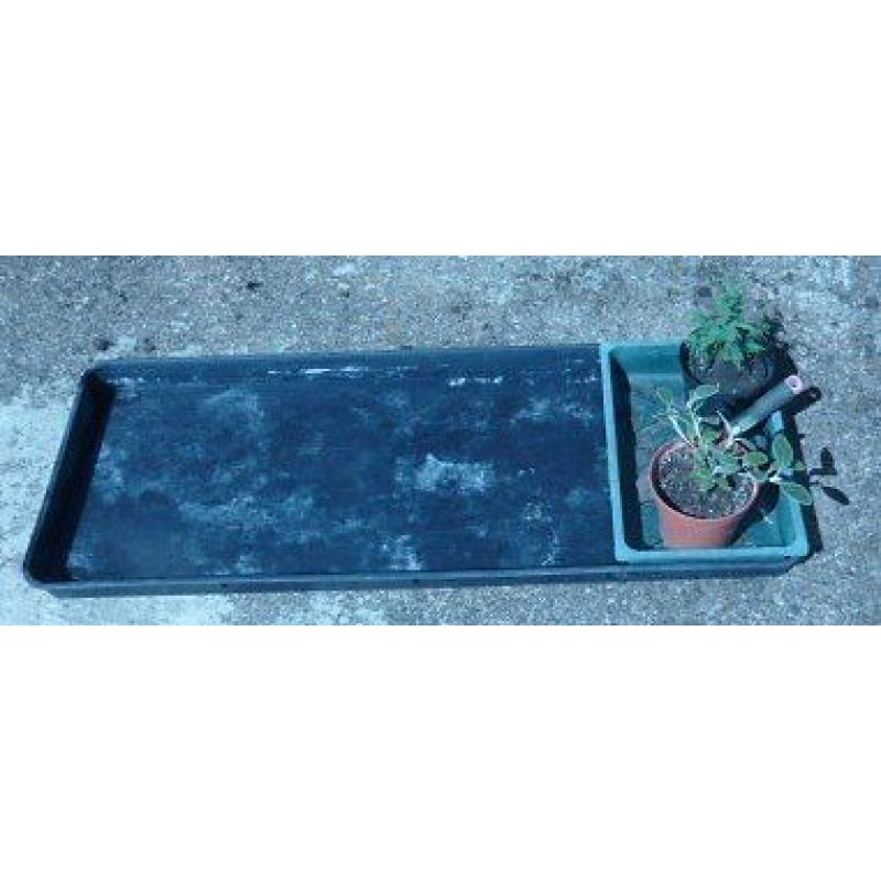 3 large gardening, greenhouse, growing, seed or grow bag trays