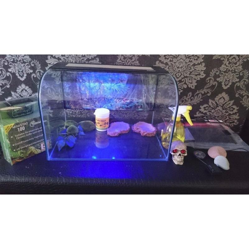 Exo Terra Habisphere set up plus loads extras, Great looking vivarium for snake ,leopard gecko