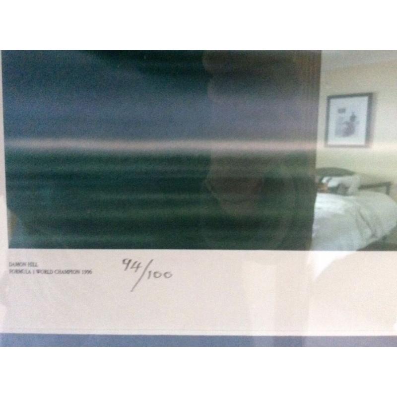 Signed Damon Hill Limited Edition Print