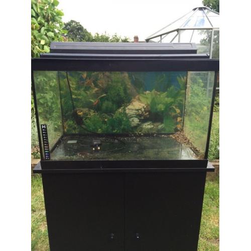 Fishtank and stand- Cabinet