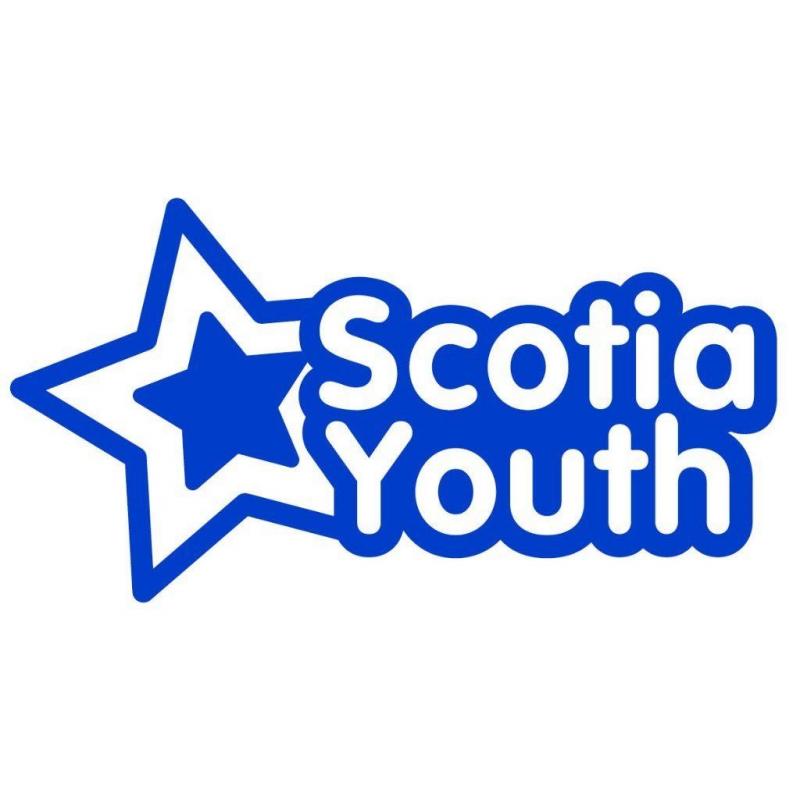 Volunteer Researcher needed for new youth organisation