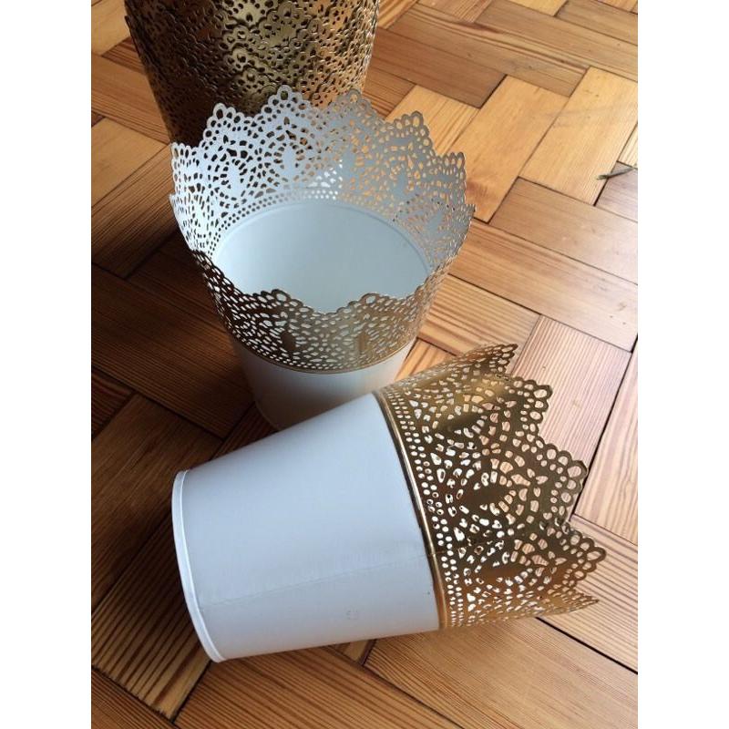 Plant pots - ideal for wedding