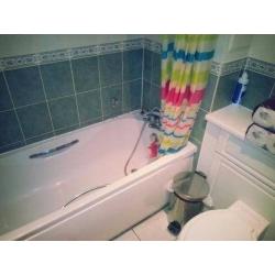 AMAZING MODERN ROOM ON THE RIVER! UNBELIAVABLE PRICE ! ALL BILLS IN!