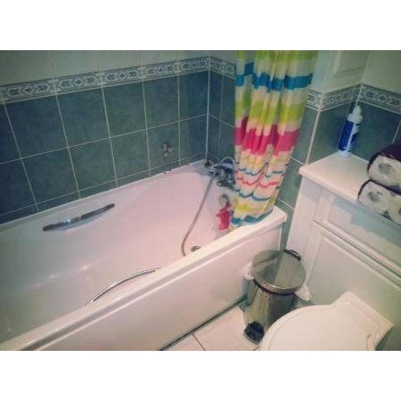 AMAZING MODERN ROOM ON THE RIVER! UNBELIAVABLE PRICE ! ALL BILLS IN!
