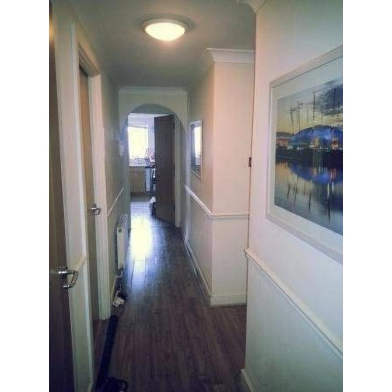 AMAZING MODERN ROOM ON THE RIVER! UNBELIAVABLE PRICE ! ALL BILLS IN!