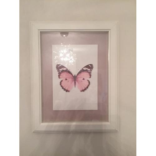 Butterfly framed photo wall art