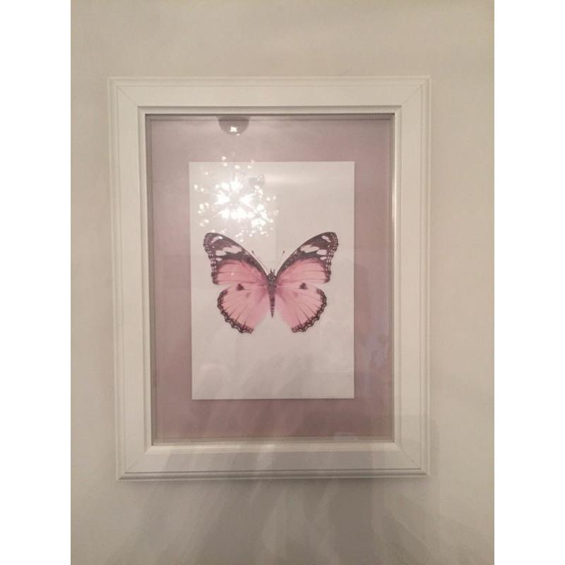 Butterfly framed photo wall art