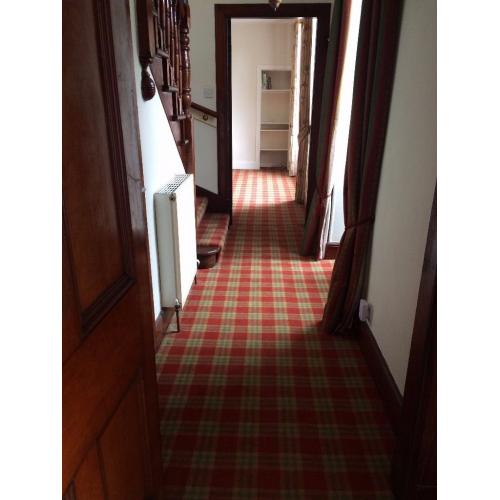 Good Quality Tartan Carpets - 5 years old