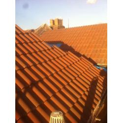 Roofer needed work asap