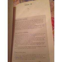 Baby book - pregnancy book