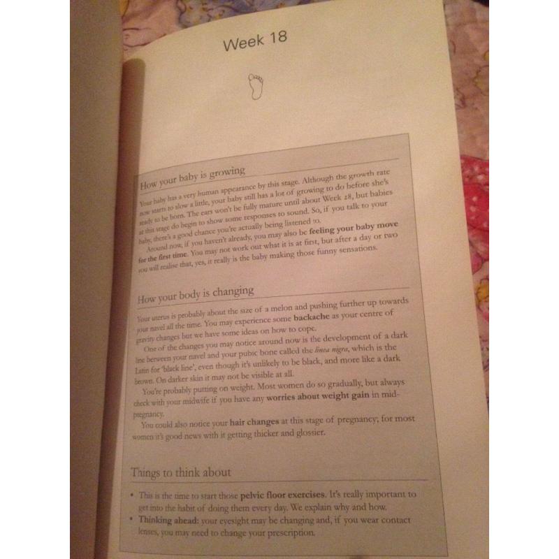 Baby book - pregnancy book