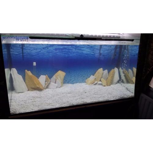 fish tank 4ft