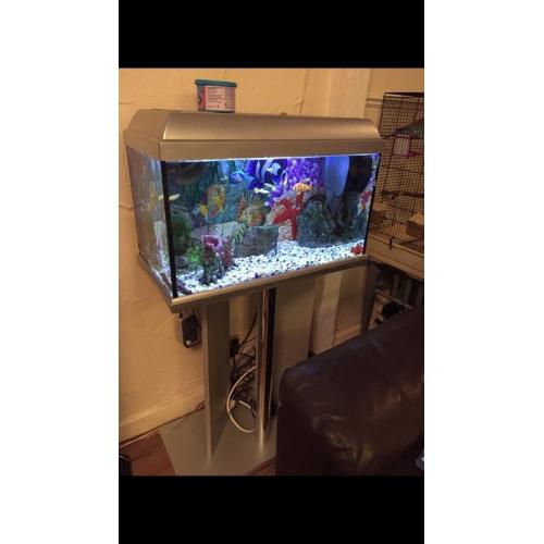 Fish tank