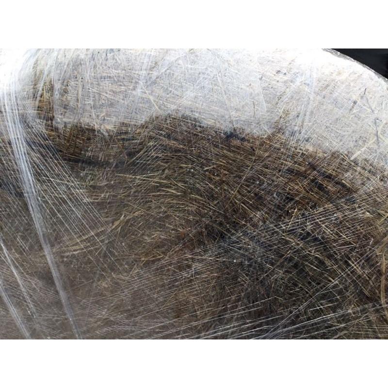 Round bale haylage 2016 made for horses