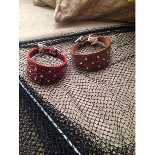 greyhound/ whippet collars