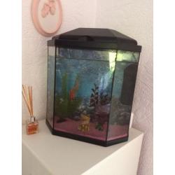 Fish tank