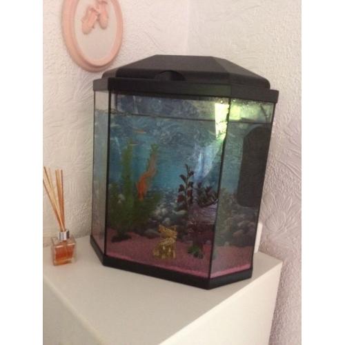 Fish tank