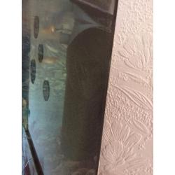 Fish tank