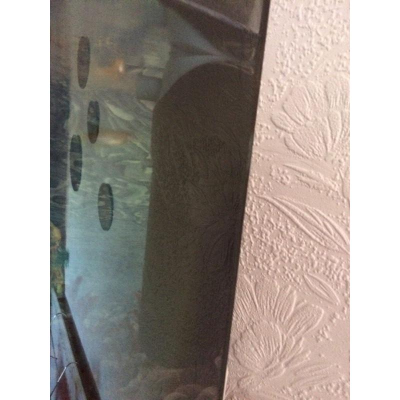 Fish tank
