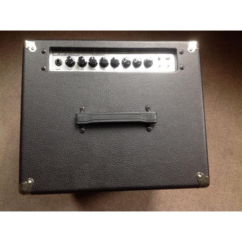 Jazz guitar combo Ibanez wholetone.