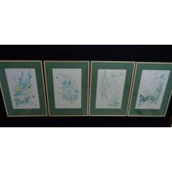 Four Gold Metal Framed Wild Flower Prints Signed By Marjorie Blamey