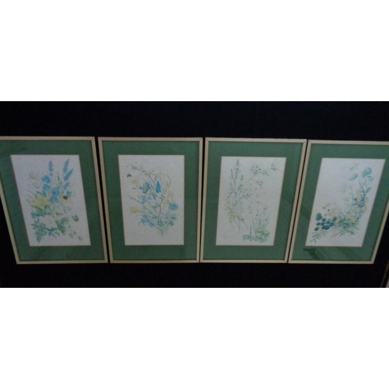 Four Gold Metal Framed Wild Flower Prints Signed By Marjorie Blamey