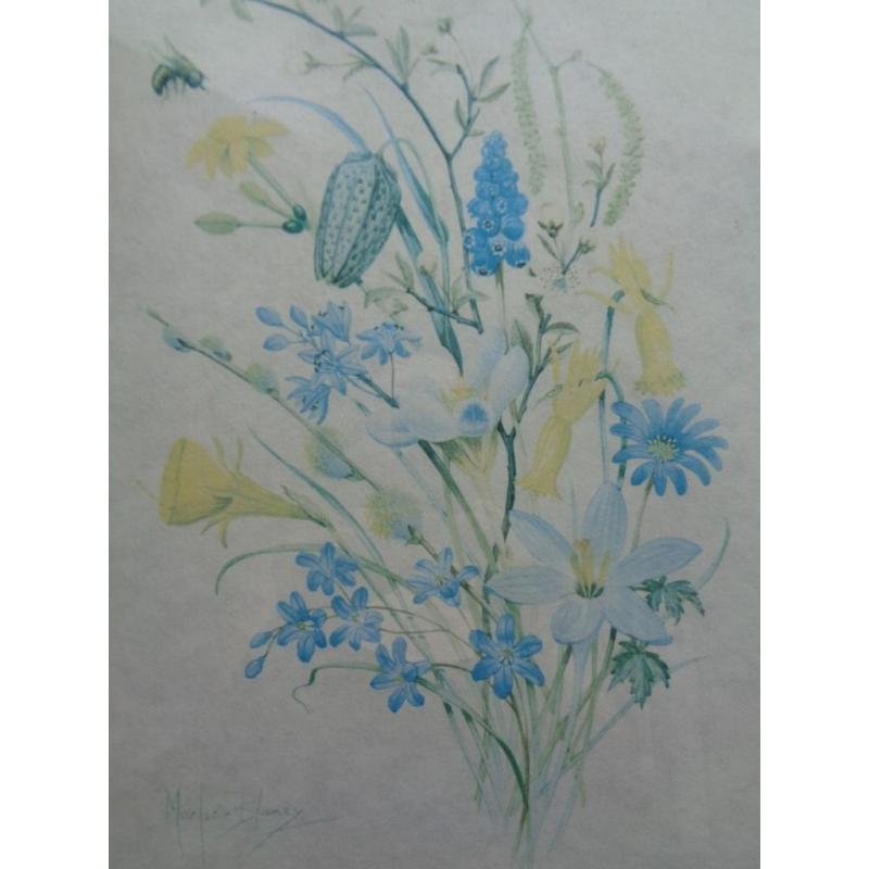 Four Gold Metal Framed Wild Flower Prints Signed By Marjorie Blamey