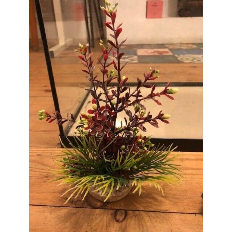 Aquael Fish Tank