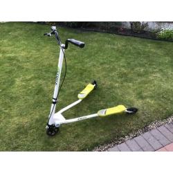 Flicker Scooter