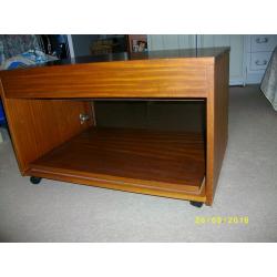 TV/Video Unit