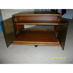 TV/Video Unit