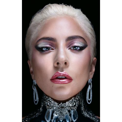 Lady gaga at the Tottenham Hotspur stadium