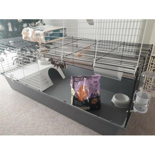 Brand new XL guinea pig cage plus accessories