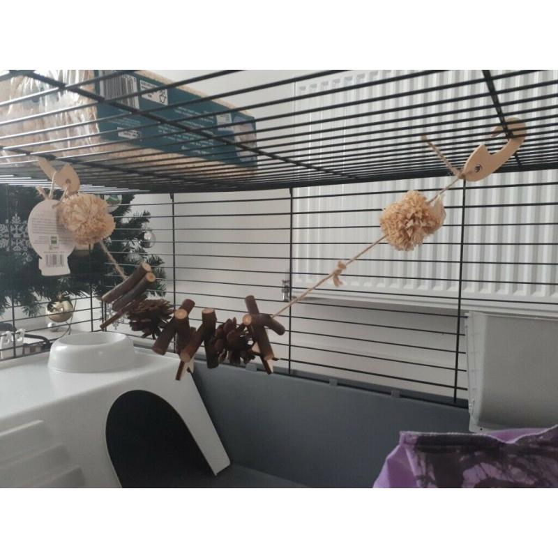 Brand new XL guinea pig cage plus accessories