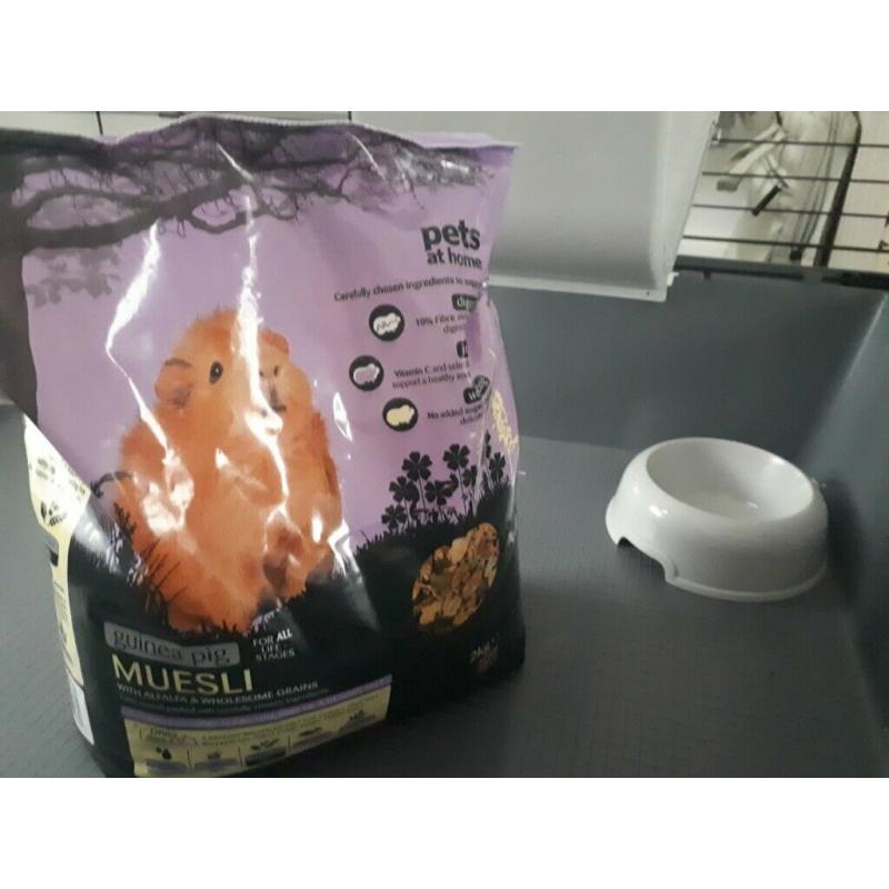 Brand new XL guinea pig cage plus accessories