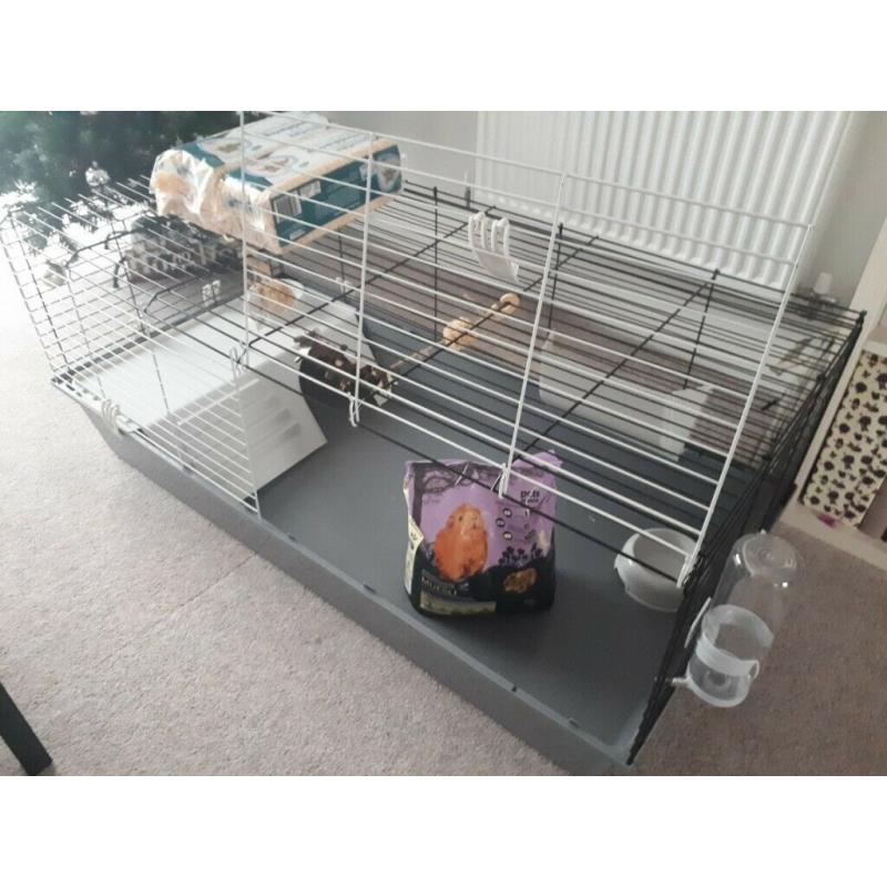 Brand new XL guinea pig cage plus accessories