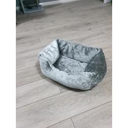 Cat bed