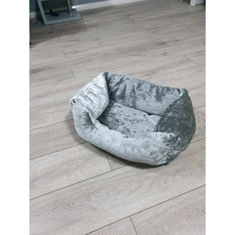 Cat bed