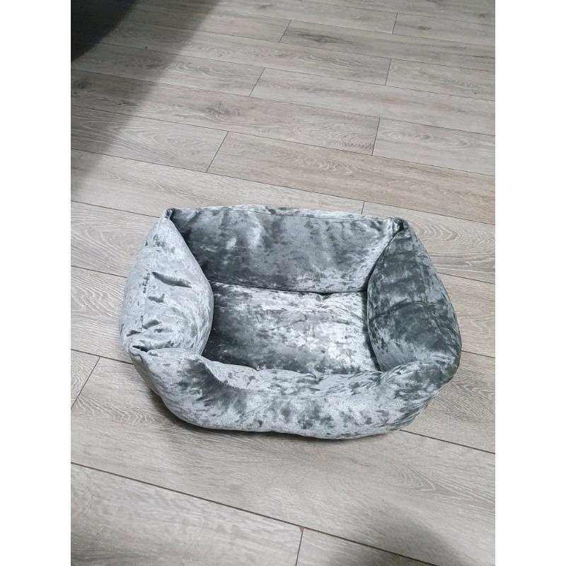 Cat bed