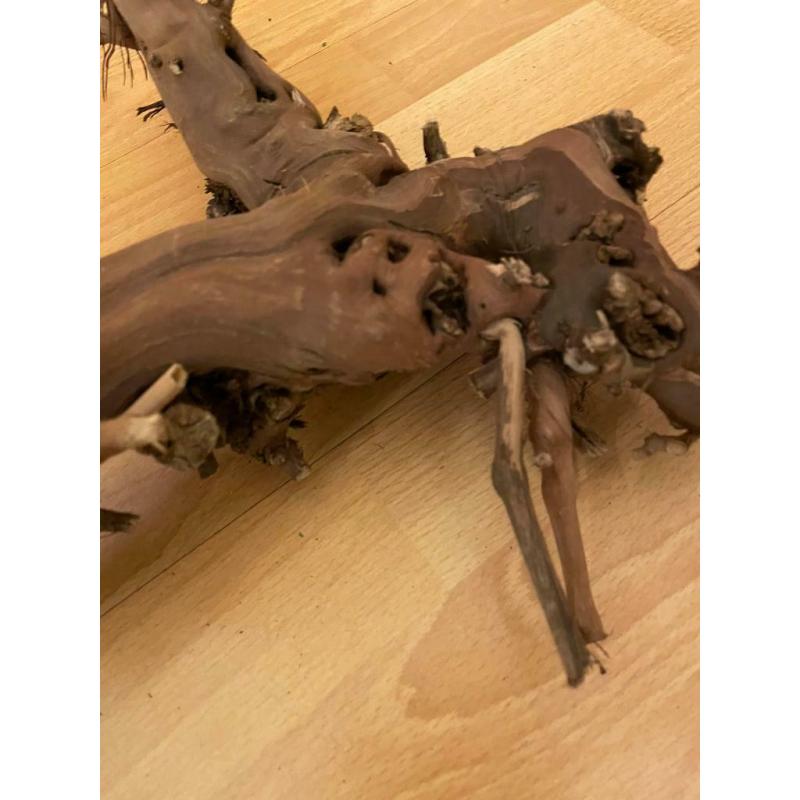 Trixie branches for small pets e.g. hamsters, mice, degus, gerbils or birds