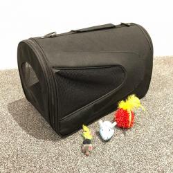Collapsible Pet Carrier and Cat Toys