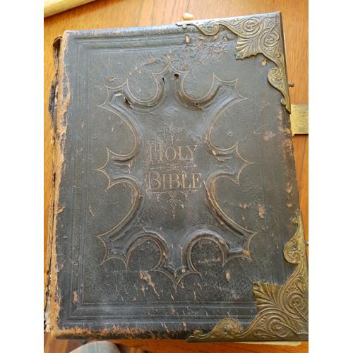 The illustrated national family bible