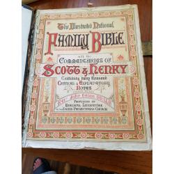 The illustrated national family bible
