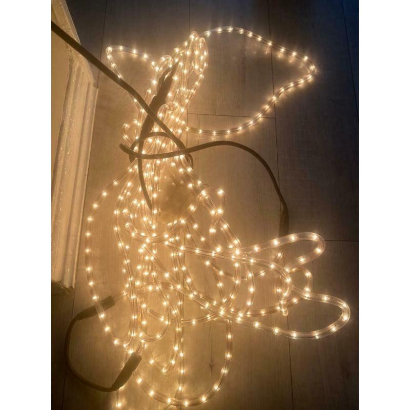 Rope light