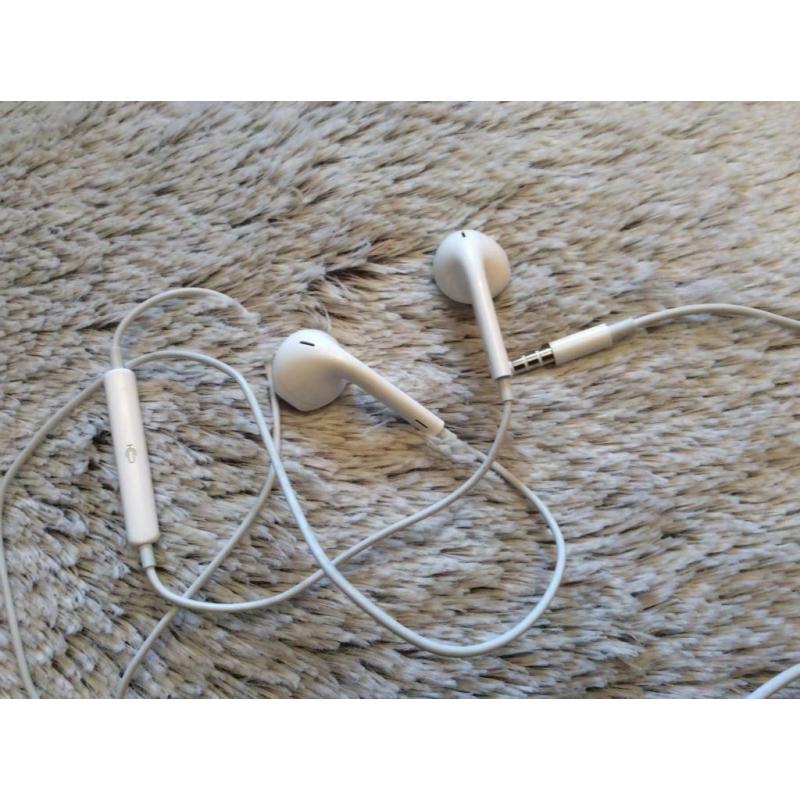 Apple Earbuds